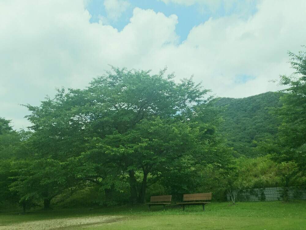 お出かけ先の画像 by ほっこり畑さん | お出かけ先と癒やしと一緒に座りませんかと元気を出して♥とベンチとヘルプマークと好きと木のある風景と山のある風景と散歩と想い出に変わるまでと癒やされる存在とさんぽみちと好きな風景とスマホで撮影とお散歩と大好き!と大好きな人❤