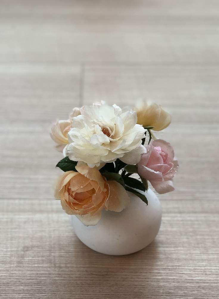 バルコニー/ベランダの画像 by よーさん | バルコニー/ベランダと薔薇♪とバラ・ミニバラとERとふるさと納税
