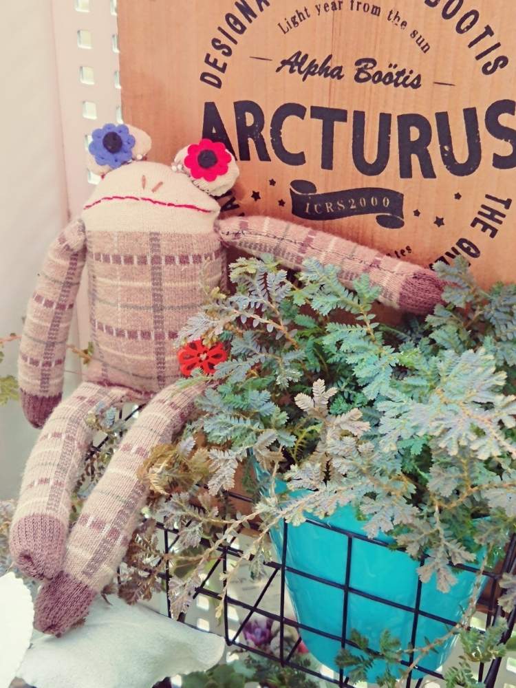の画像 by kaorioka 2さん | レインボーファンと暑さに負けないよソクモンちゃんとHTCと負けるなもんもんチャンと早起き倶楽部とHTCNo.176とチッチャイ星人同盟とご安全にーと普及シダを愛でる会とGSミニモニ。と全国オヤジ連合会とバラと夢CLUBとシダはいいぞとコンテリクラマゴケと全国オヤジ連合会No.5とレッツゴー三匹とたにおたくらぶとGS植物うちなーぐち会