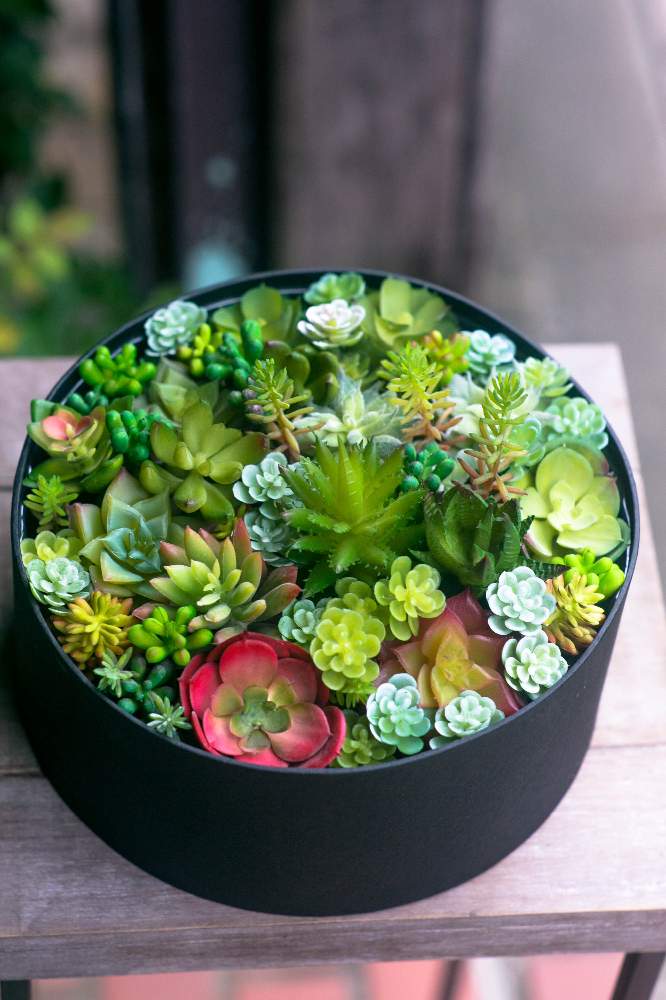 部屋の画像 by 【秦野市の花屋】フローリストせきどさん | 部屋とフローリストせきどと秦野市の花屋と深呼吸したくなる部屋フォトコンと癒しと癒し…とPLAZA花物語と大好きと梅雨明け楽しみと秦野市とボックスフラワーとGS日和とGSのみなさんに感謝♡と癒しの空間と今日のお花と癒し空間と多肉女子と癒し…♡と花のある暮らしといやされるとかわいいな♡とGREEN UP!とお花屋さんとフラワーギフト