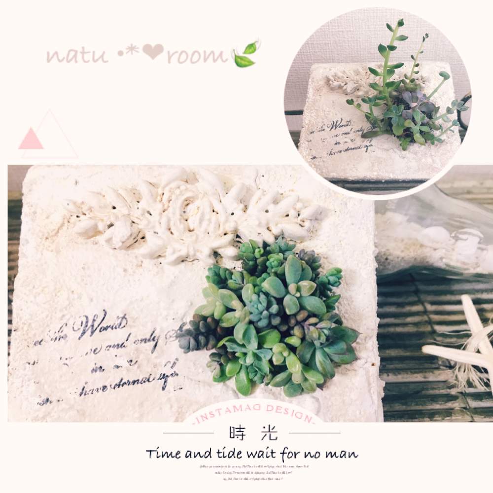 部屋の画像 by ✿ natu. ✿さん | 部屋とお疲れ様です♡と素敵な出逢いに感謝♬と大切に…と優しい香りと感謝の気持ち♬と明日から お仕事だぁ〜と幸せ❣️とお気に入り♬とありがとう❣️と(*˘⌣˘*)✿ฺ。こんにちは!と癒しの場所と休日のひと時と花のある暮らしとひとりごととkeep smiling❣️と元気♬とnatural ♬と癒し時間♬