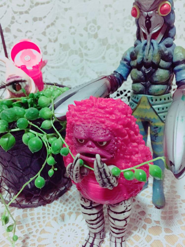 の画像 by Y._.Y-Y(ಠ_ಠ̵̵̀)Y-Y._.Yさん | ほぼ、毎日ピグモンだモン♬とvバルタン星人vとグリネとひとつめちゃんと多肉 グリーンネックレスとピグとバル 2人の夏物語❤︎