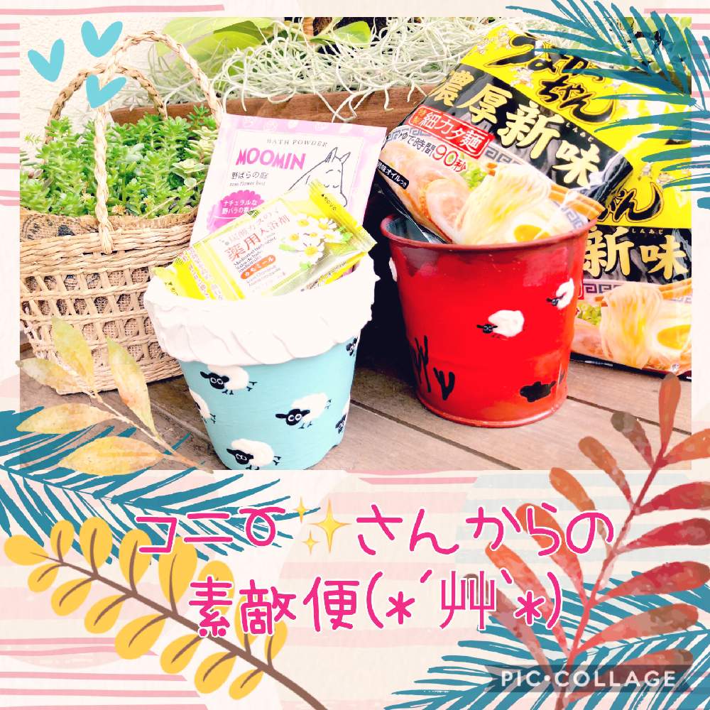 バルコニー/ベランダの画像 by くるとん**さん | バルコニー/ベランダと多肉植物とたにおたくらぶNo.147とキュンキュン乙女倶楽部と観葉植物とコニーさんのリメ鉢とコニー✨さんからの素敵便と神奈川タニラーとno green no lifeと緑のある暮らしとコニーさんの素敵便と多肉ラボ©とキュンキュン乙女倶楽部No.223とリメ缶・リメ鉢とたにおたくらぶとコニーさんひつじ鉢