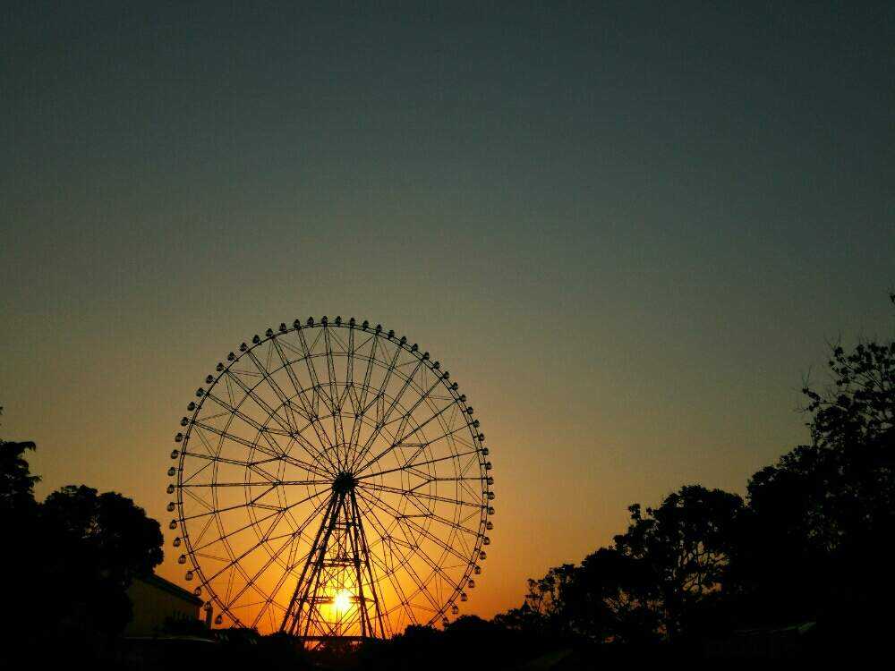 お出かけ先の画像 by ほっこり畑さん | お出かけ先と癒やしとずっと忘れないよと東京と公園と元気を出して♥とヘルプマークとそら✨空と好きと元気もらえると散歩と想い出に変わるまでと癒やされる存在と観覧車と好きな風景と葛西臨海公園とスマホで撮影とお散歩と大好き!と大好きな人❤と優しい気持ち