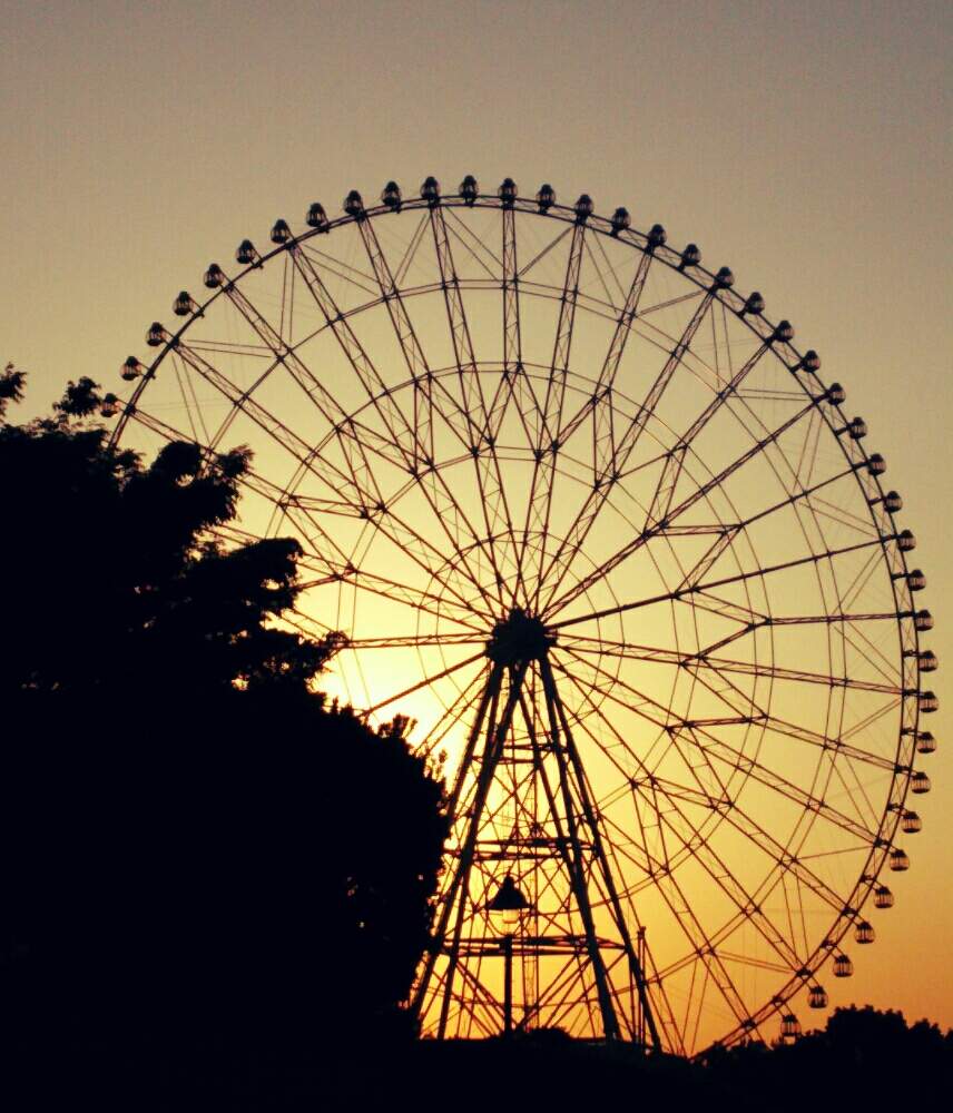 お出かけ先の画像 by ほっこり畑さん | お出かけ先と癒やしとずっと忘れないよと東京と公園と元気を出して♥とヘルプマークとそら✨空と好きと元気もらえると散歩と想い出に変わるまでと癒やされる存在と観覧車と好きな風景と葛西臨海公園とスマホで撮影とお散歩と大好き!と大好きな人❤と優しい気持ち