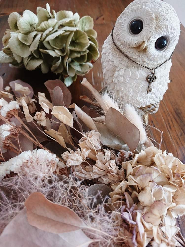 の画像 by kaorioka 2さん | 幸せを呼ぶフクロウ祭りとフクロウ祭とHTCと負けるなもんもんチャンと深呼吸したくなる部屋フォトコンと早起き倶楽部とHTCNo.176と紫陽花ドライとチッチャイ星人同盟とご安全にーとGSミニモニ。と全国オヤジ連合会と今日のお花とバラと夢CLUBと全国オヤジ連合会No.5とレッツゴー三匹とたにおたくらぶとGS植物うちなーぐち会とドライフラワー