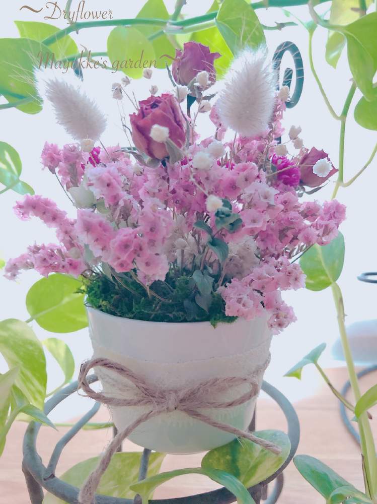 窓辺の画像 by まゆっけさん | 窓辺とドライフラワーとGS映えと暮らしに花をと日々の生活を丁寧に…と花のある暮らしと花が好きとGS5周年