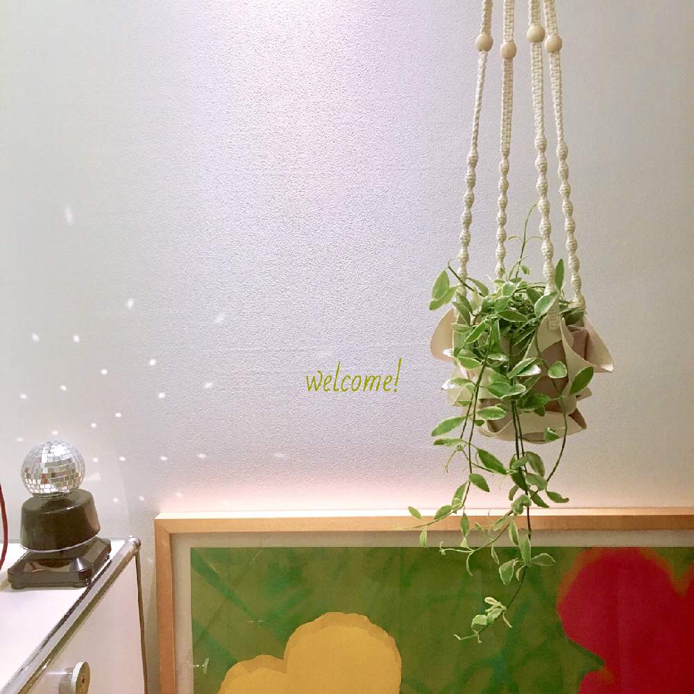 インテリアの画像 by yuki*さん | インテリアとディスキディア・エメラルドと観葉植物と色がステキとwelcomeとお迎えと吊るしてみたよと植物欲とhappy houseplants