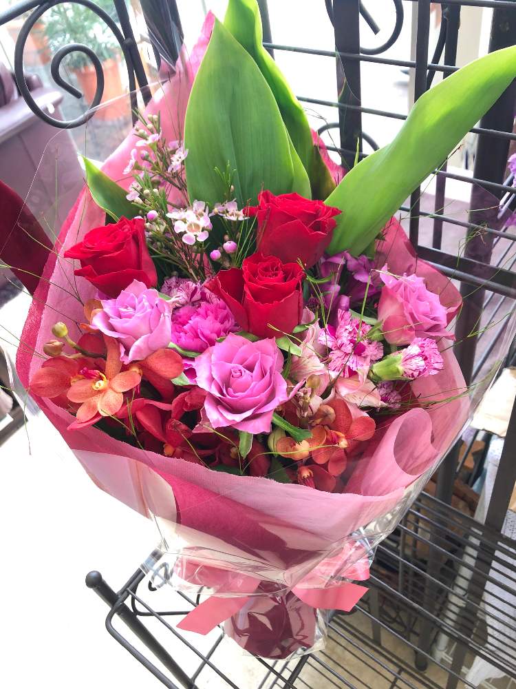 の画像 by えりりんさん | アルストロメリアとカーネーションと薔薇とワックスフラワーとアランダとアミューファンと植物オタクと癒しとGS映えと季節の花ときれいと植中毒と洋ランと蘭が好きと花屋とカワイイ葉っぱと花のある暮らしとかわいいと花は癒やし♡とチーム福岡とやっぱり花が好き♡と切り花と花束
