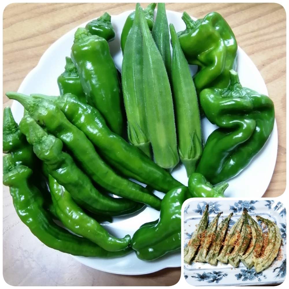 畑の画像 by erinさん | 畑と家庭菜園と今日の収穫♪とオクラ♡と収穫野菜で料理と夏野菜とピーマン♪