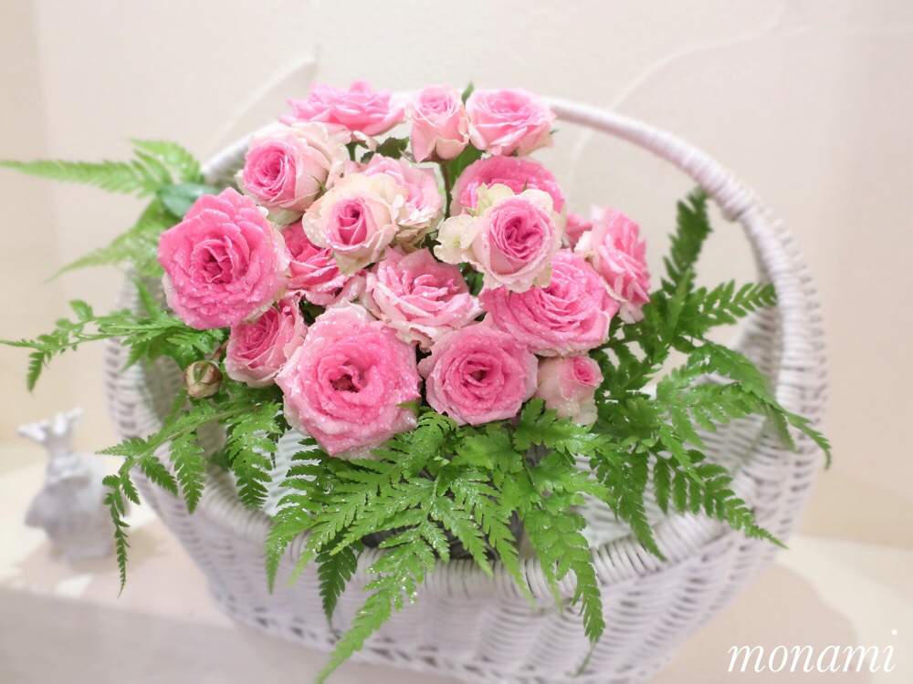 キッチンの画像 by モナミさん | キッチンとわたしの楽しみと『可憐なミニブーケ』フォトコンテストと薔薇愛同盟と作りたて✨と葉っぱのある暮らしと庭の花でアレンジとキッチンニッチでと薔薇のある暮らし♡と花のある暮らしと可愛いバラ