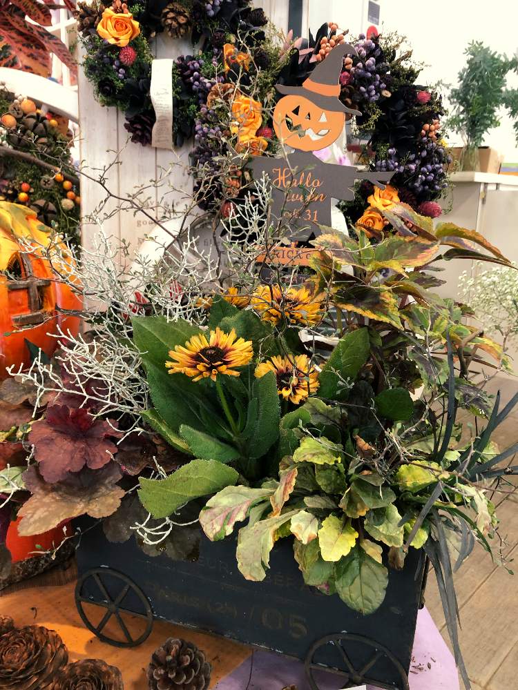 玄関の画像 by コンテナガーデントマト園芸レイク店さん | 玄関と寄せ植えと園芸店と入荷しましたとハロウィンとブリキとGS映えとブリキ鉢とアレンジとトマト園芸と花のある暮らしと植え込みとお店