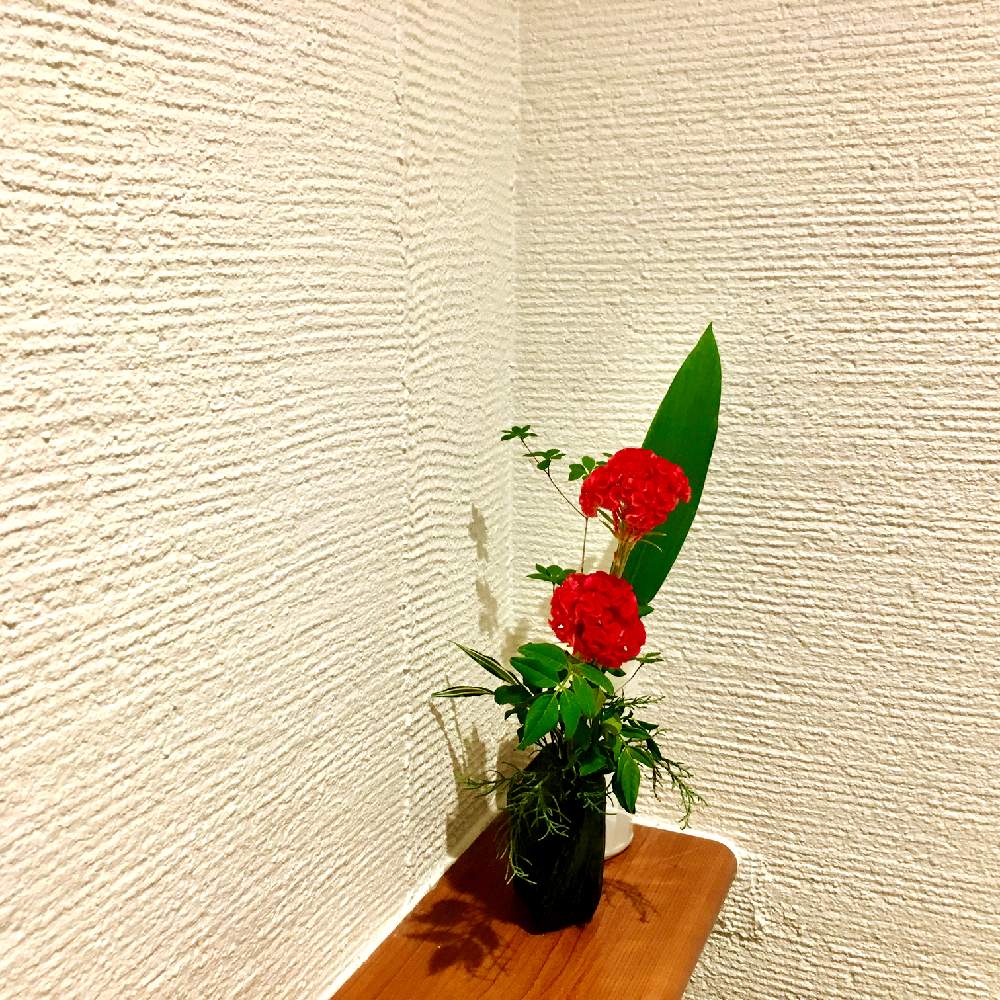 お出かけ先の画像 by apricot53さん | お出かけ先とケイトウとドウダンツツジとナンテンとハランといけばなとフラワーアレンジメントと花のある暮らしとテーブルウェアと切り花と生け花