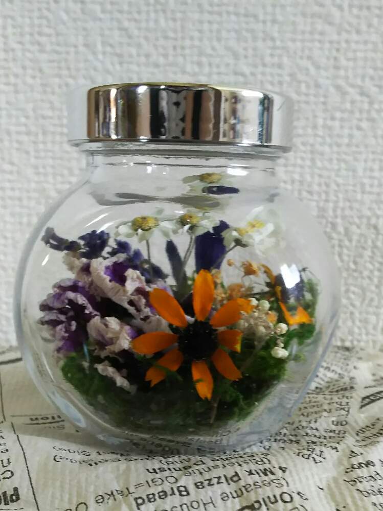 インテリアの画像 by SAKURAさん | インテリアと植物のある暮らしとドライリースとちょこっと花とドライフラワーと庭の花とドライ小物とドライフラワーアレンジと100均アレンジとドライ好きと花のある暮らし