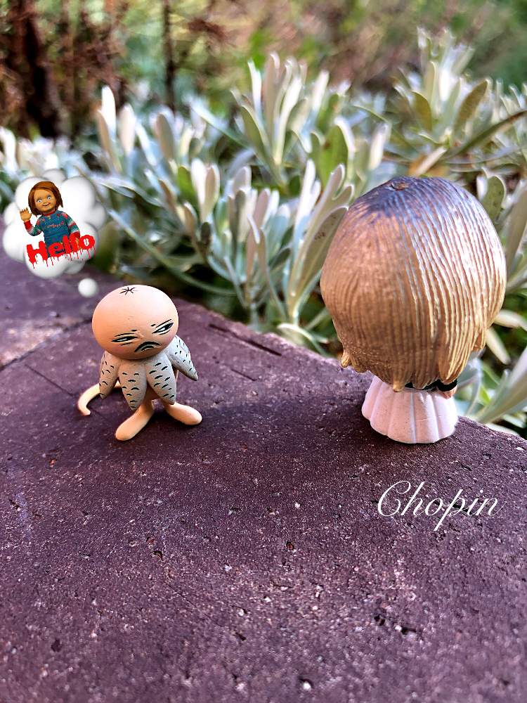 の画像 by Chopin(ショパン)さん | フィギュアとキノコ!とモクビャッコウ!とヒグチユウコフィギュアとマイガーデンとデンジャラスガーデンとヒグチユウコとナチュラルガーデンと植物とフィギュアとチャッキーとナチュラルスタイルとめんこい♡とキノコ類とツチグリ坊やとiPhone撮影とシルバーリーフと台風接近とGSコラボ