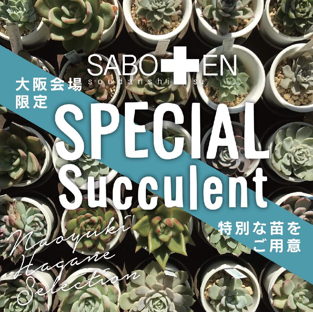 の画像 by コキリノGreen&Coffeeさん | 多肉植物とコキリノGreen&Coffeeと多肉大好きとイベントと多肉植物のある暮らしと羽兼直行とサボテン相談室とお知らせとエケベリア属と多肉女子とタニラーとサキュレントデーと多肉寄せ植え