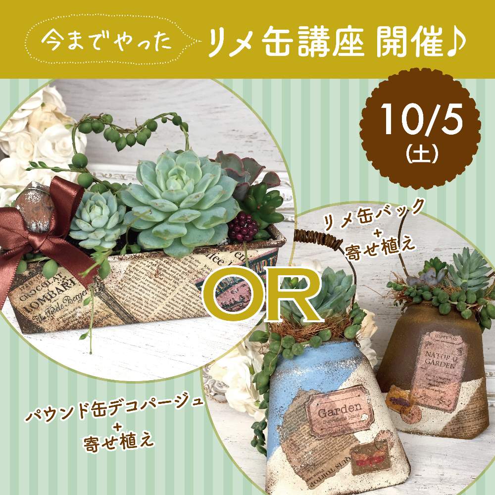 畑の画像 by アトリエnanaさん | 畑と寄せ植え教室と多肉植物とリメ缶とリメイクとデコパージュと寄せ植えとエイジング加工とリメ缶バッグとリメ缶・リメ鉢と寄せ植え講座と多肉寄せ植え体験と多肉寄せ植えとワークショップ