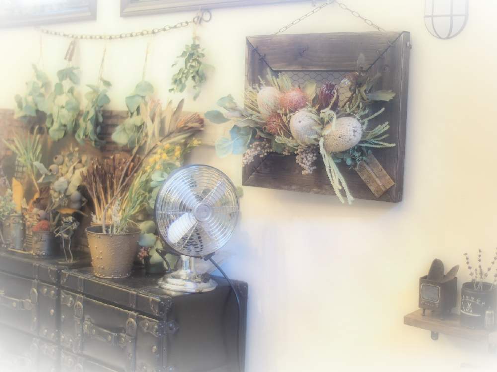 窓辺の画像 by Nomachanさん | 窓辺とW投稿と繋がりに感謝と大好きな場所とJUNK Gardenとドライフラワーのある暮らしとバンクシア♡と少しでも笑顔になってもらえますようにと笑顔の源と癒し空間とみんな同じ空の下と塩系雑貨と錆錆とSabijyoとご縁に感謝とDIYとプロテア♡と植物が映えるものを作り隊とサビじょとインダストリアル