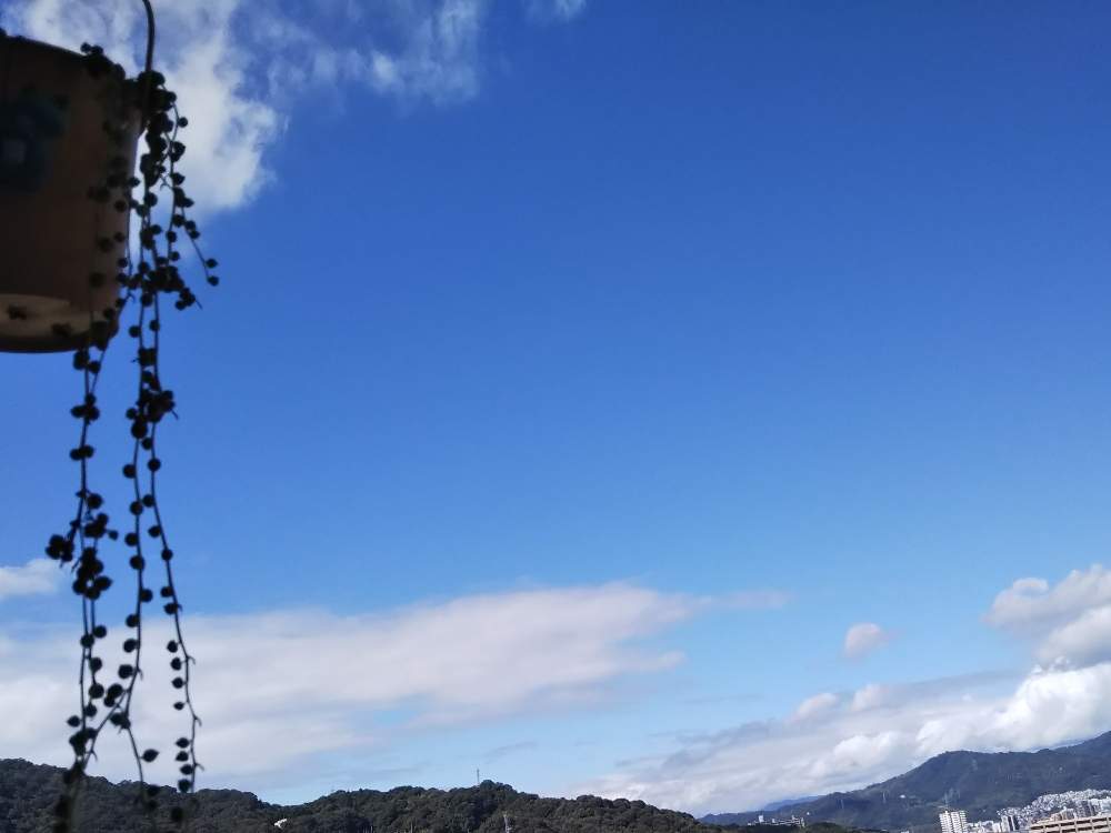 バルコニー/ベランダの画像 by しのんさん | バルコニー/ベランダとグリーンネックレスとHTCと暑い!と晴れ☀と休日とHTC No.16とお空で繋がってると綺麗な色♡