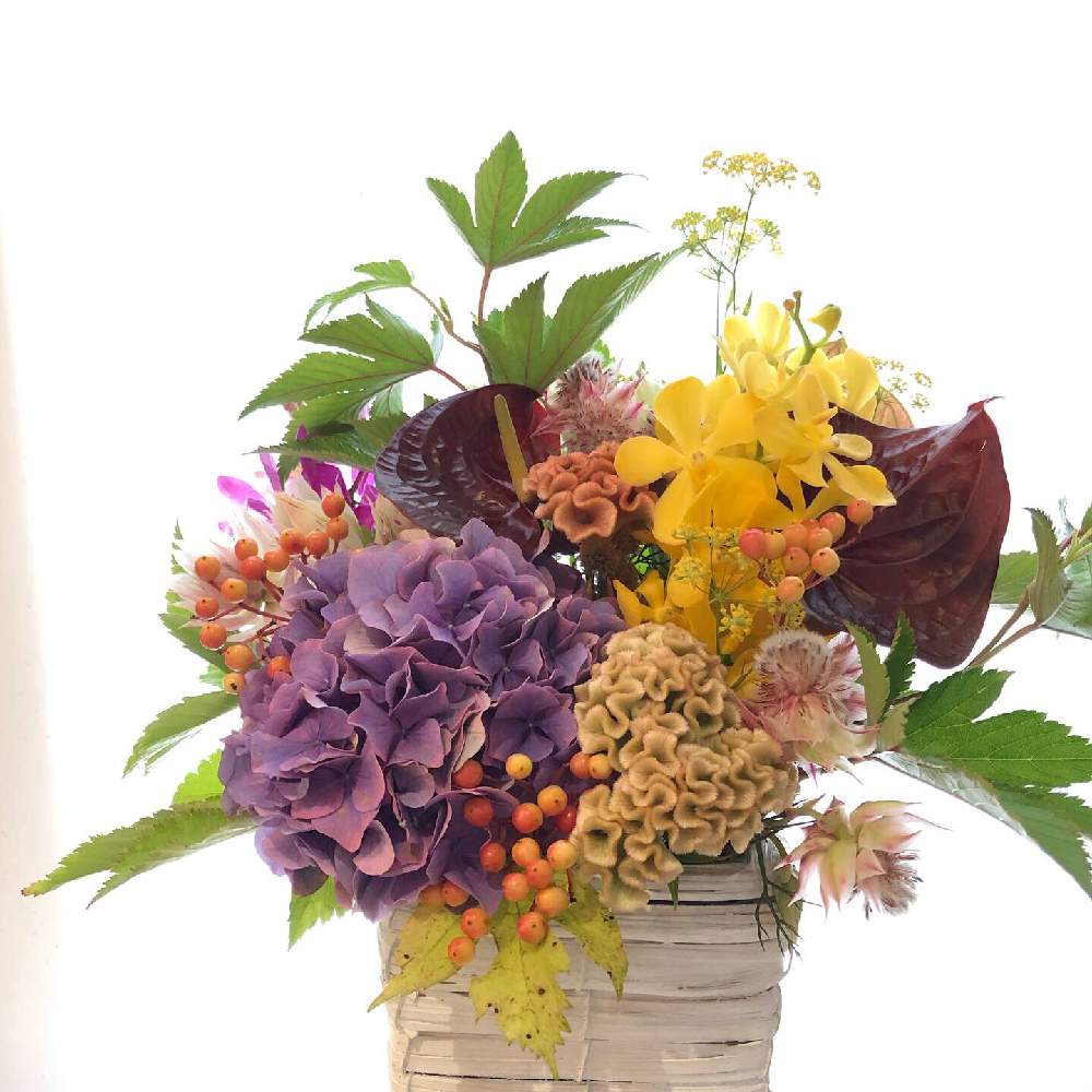 部屋の画像 by ひこうき雲さん | 部屋とアレンジとフラワーアレンジメントと秋の花と花のある暮らし