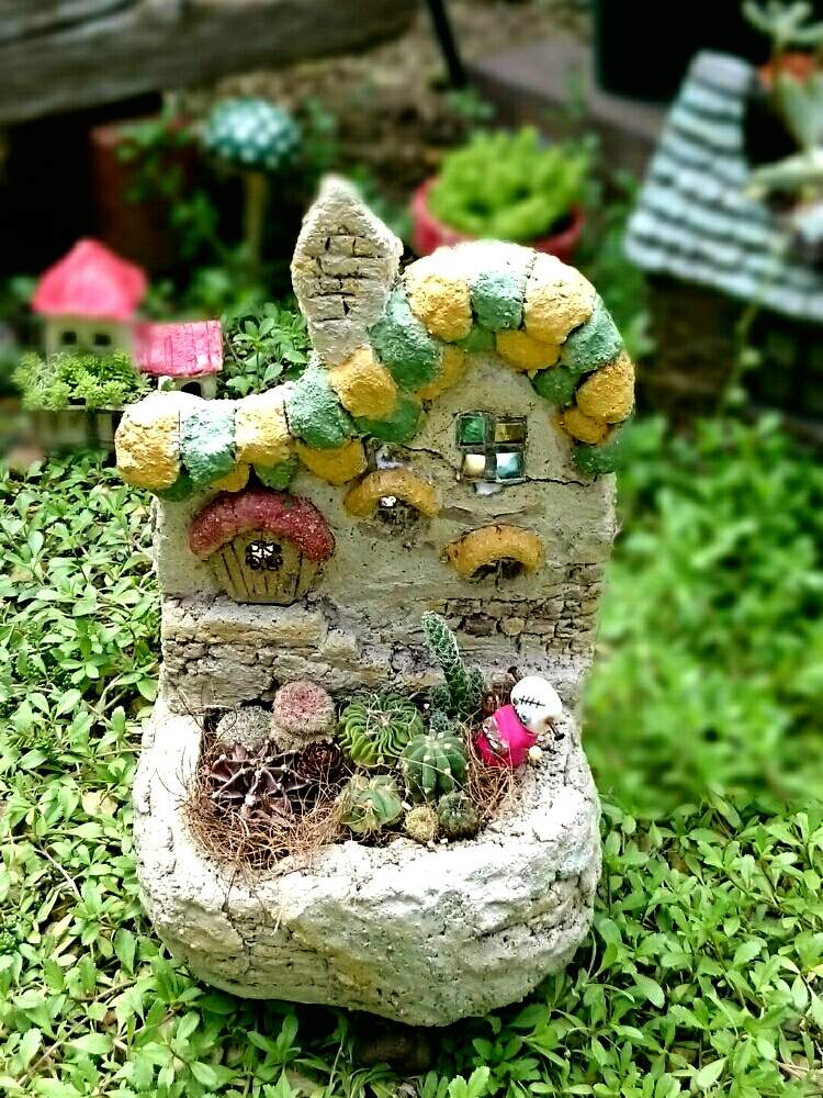 小さな庭の画像 by GreenGardenさん | 小さな庭と多肉植物とサボテン科とjunkと今日の一枚と多肉女子と多肉好きと土だまの家