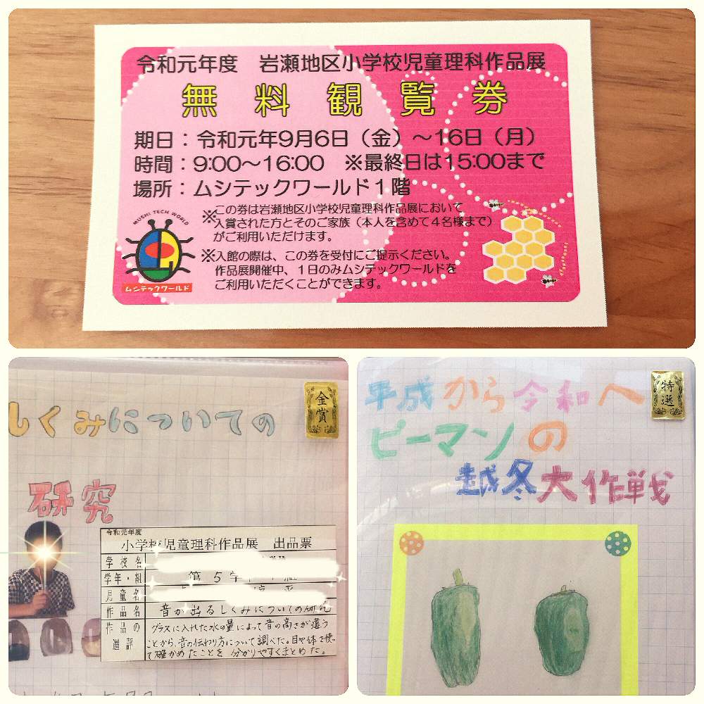 の画像 by ★pepe★さん | 夏の思い出と子供との想い出☆とうつくしま福島と自己満足と嬉しいと東北とこどもと暮らすと自由研究と花のある暮らしと夏の終わりとiPhone撮影
