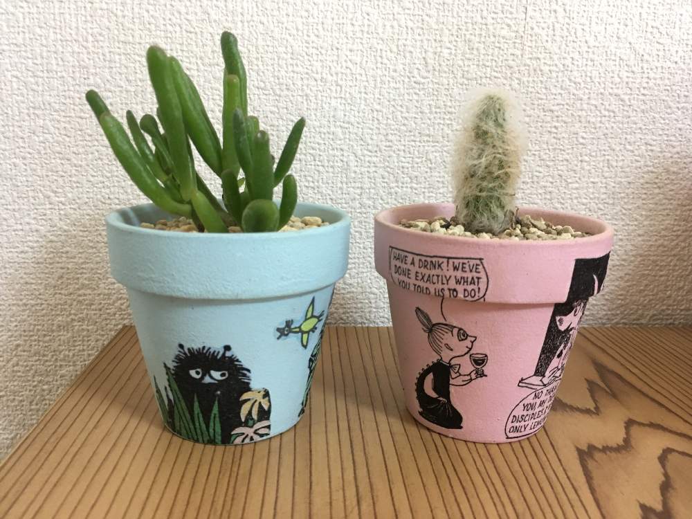 部屋の画像 by えーさん | 部屋とゴーラムと老楽とリメ鉢と癒しと初心者ですと多肉女子と多肉植物とデコパージュとムーミンとリトルミィ