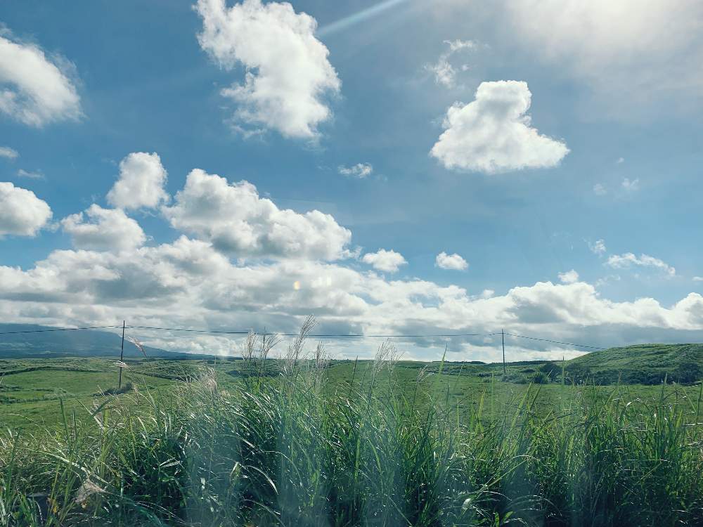 お出かけ先の画像 by のっちょさん | お出かけ先と青空とすすきのある景色とGREEN UP!