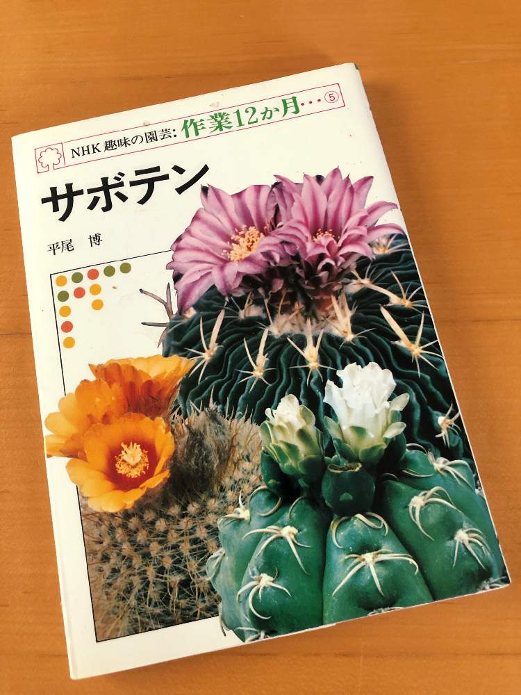 バルコニー/ベランダの画像 by タケシ(・∀・)さん | バルコニー/ベランダと植物雑誌とサボテン科とアリオカルプス属と成長期とカキコとベランダ棚と植中毒と春秋型とアストロフィツム属と屋根とディオスコレア属とベランダーとロゼオカクタス属と雨よけと長雨に負けず