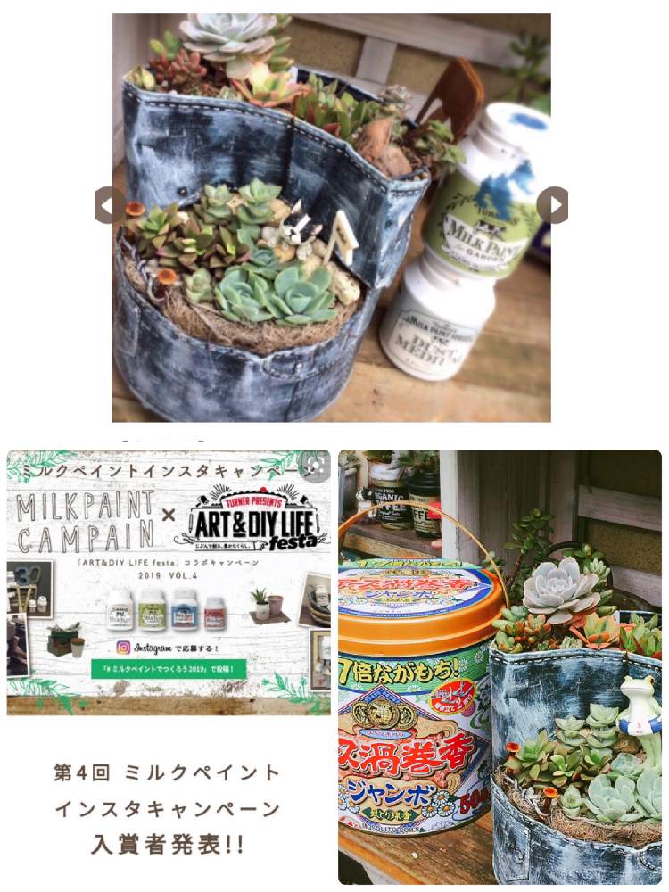 アプローチの画像 by のりまきさん | アプローチと多肉植物とターナーミルクペイントとリメ缶と☆特別賞受賞☆とターナー色彩と蚊取り線香入れとわが家の多肉スペースと多肉植物寄せ植えとわが家の多肉さん❢と第4回インスタキャンペーンと多肉女子と多肉植物とサボテンとリメ缶・リメ鉢とミルクペイントでつくろう2019とタニラーとリメイク缶