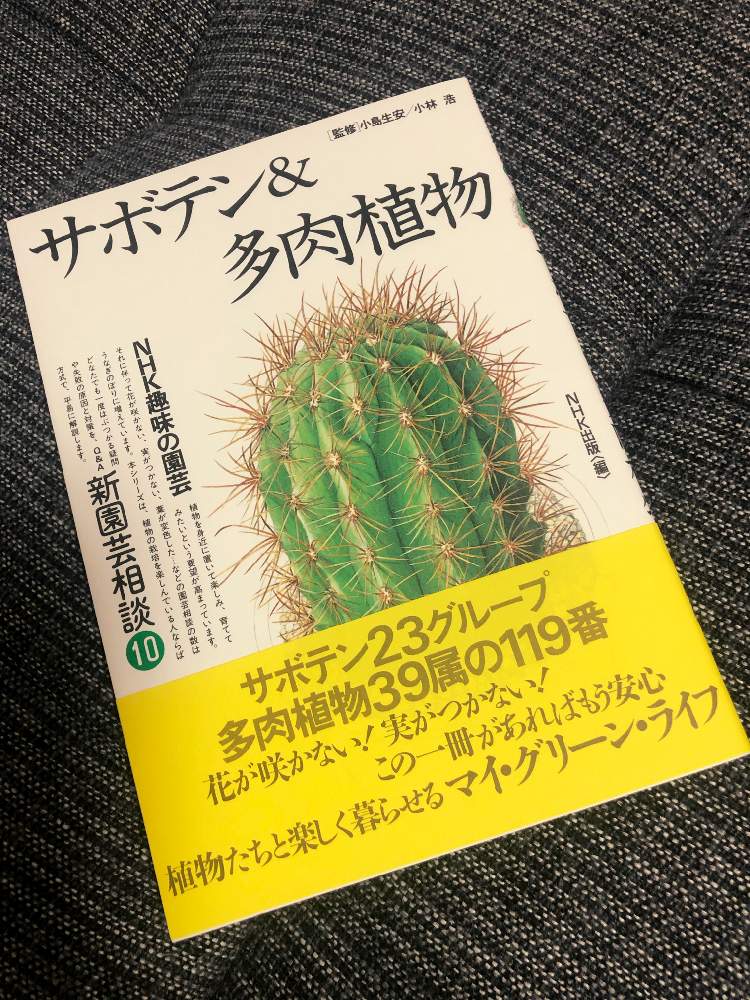 バルコニー/ベランダの画像 by タケシ(・∀・)さん | バルコニー/ベランダと植物雑誌とサボテン科とアリオカルプス属と成長期と夏型とカキコとベランダ棚とコーデックスと植中毒と春秋型とアストロフィツム属と塊根植物と屋根とディオスコレア属とユーフォルビアとベランダーとビザールプランツとロゼオカクタス属と雨よけと長雨に負けず