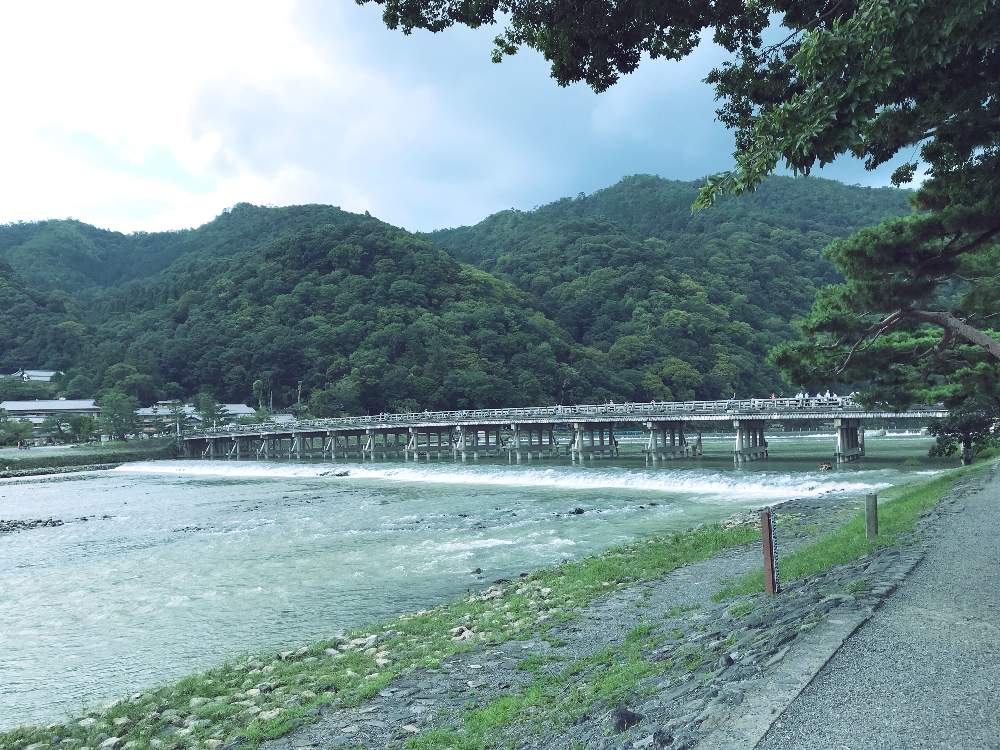 お出かけ先の画像 by おがぺさん | お出かけ先と渡月橋と植物男子とひとり旅とびしょ濡れと男子旅と嵐山と千葉県人会