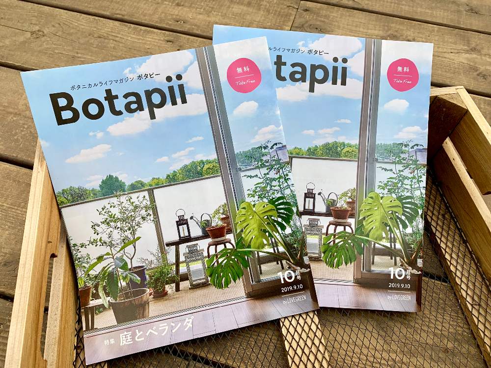 インテリアの画像 by Flower Villageさん | インテリアとボタニカルと観葉植物とボタニカルライフとグリーン!グリーン!グリーン!とぷちがーでんるーくとお部屋とボタピーとベランダガーデニングと鷺沼とベランダガーデンとにわと植中毒とボタピー設置店とbotapiiとフラワービレッジと観葉植物のある暮らしと花のある暮らしとお花のある生活とflowervillageとベランダー
