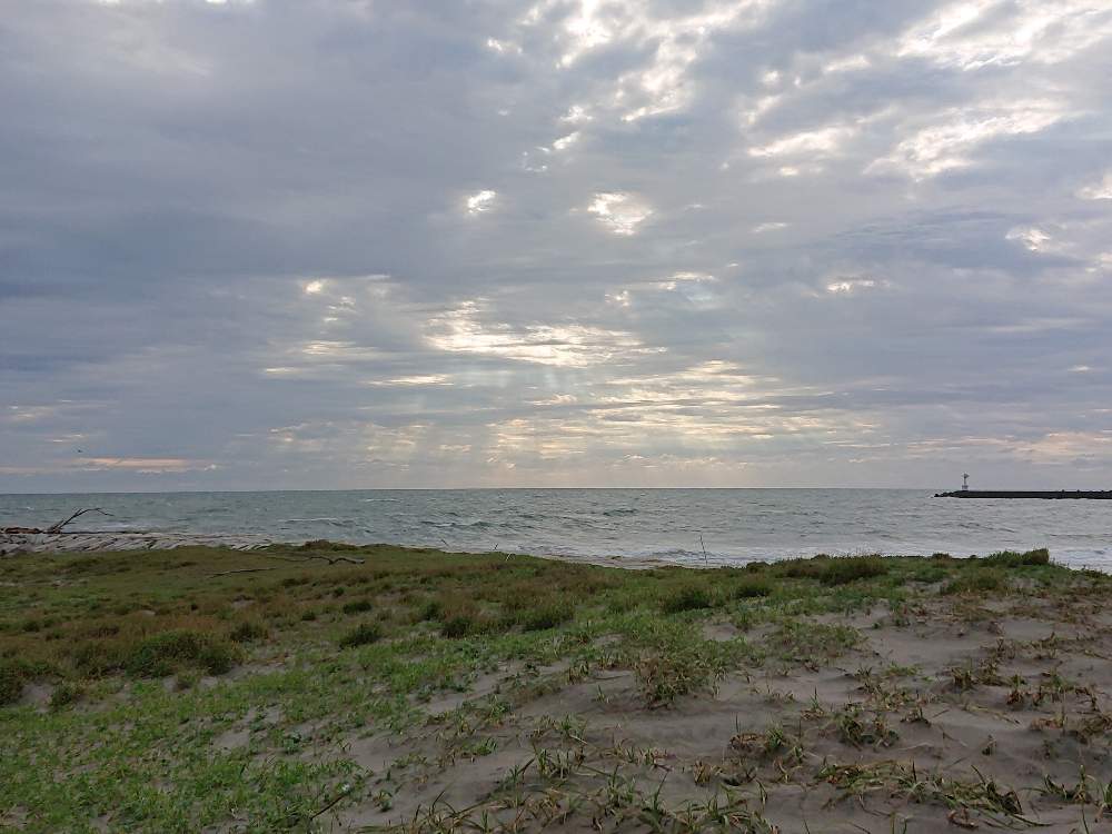 の画像 by あっちゃんさん | 仕事中と朝のひとときと日本の四季と2019夏と台風15号と黄昏の一時と黄昏おじさんとバツイチおじさんと植物関係無い