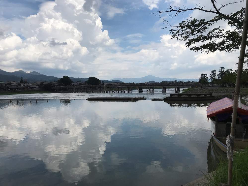 お出かけ先の画像 by おがぺさん | お出かけ先と渡月橋と植物男子とひとり旅とGS映えとびしょ濡れと男子旅と嵐山と千葉県人会