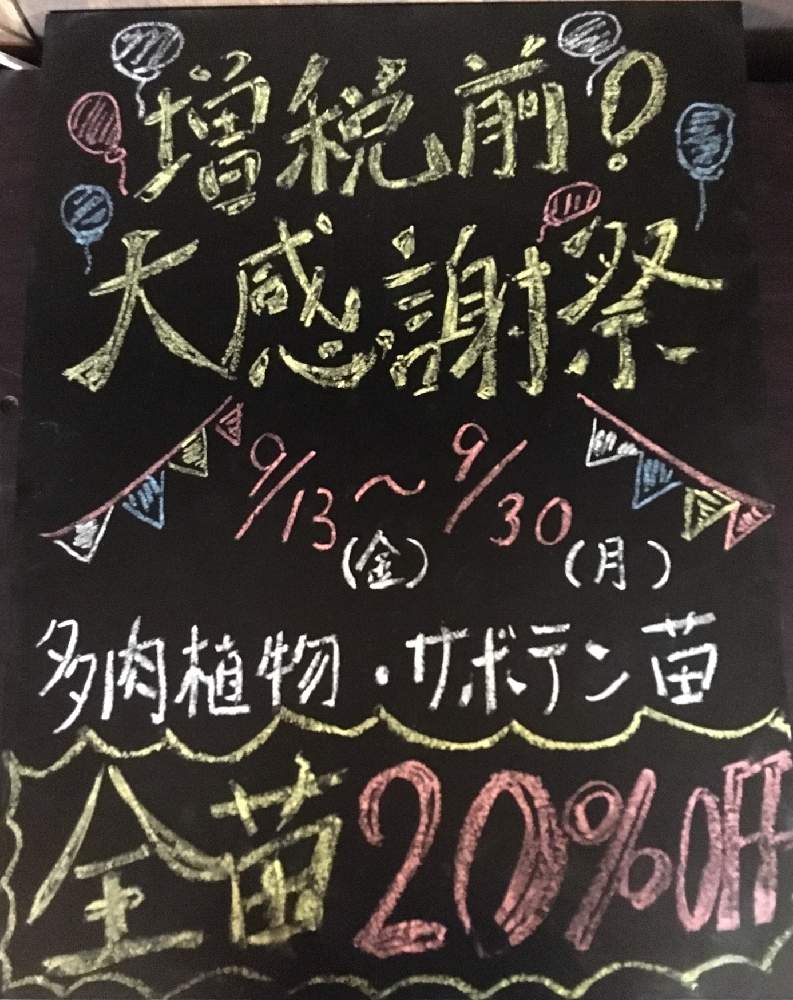 の画像 by 多肉植物専門店 RuPo“ルポ”さん | 多肉植物と購入可能とインスタやってますとルポさんとRUPOとペペロミアコルメラとRuPoさんと和歌山とデビーさんと多肉女子とInstagramと多肉 桜吹雪とルポとRUPOさんの多肉と多肉寄せ植えとタニク初心者とプラスチックスマート