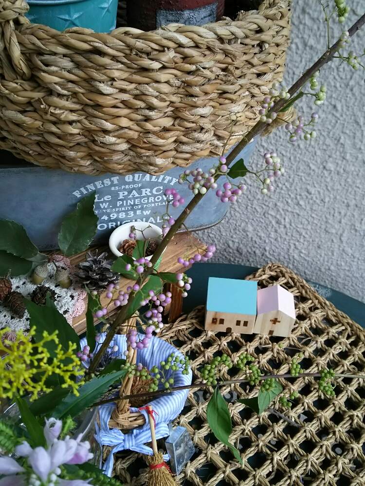 の画像 by *みき*さん | ムラサキシキブと茶花と毎日がたのしみと秋の気配といやし♡と花のある暮らしとかわいいな♡