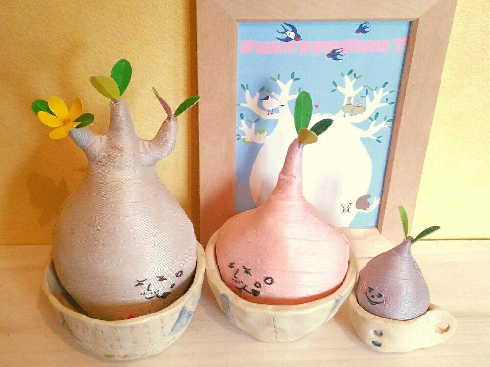 玄関の画像 by poporopoooさん | 玄関とボクも咲いたる!とキミ、おヨメに行くんだって?とオハナが咲いたらおヨメに行く約束なのさと多肉植物とアデニウム属とパキポディウム属と観葉植物と植物のある暮らしと塊根植物のある暮らしと塊根と陶器と塊根女子とぬいぐるみとコーデックスとCaudexと緑のある暮らしと多肉女子と多肉植物とサボテンと塊根植物と多肉とフィギュアとアデニア属と花のある暮らしとインテリアグリーン
