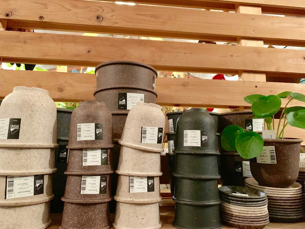 の画像 by Flower Villageさん | ボタニカルライフと寄せ植えと鷺沼とベランダガーデンと植中毒とフラワービレッジと観葉植物のある暮らしと花のある暮らしとflowervillageとベランダーと多肉寄せ植えとグリーンインテリアとエコポットとナチュラルガーデンとナチュラルスタイルと観葉植物がスキとエコポット スプラウトとリサイクルとインテリアグリーンとリサイクル鉢