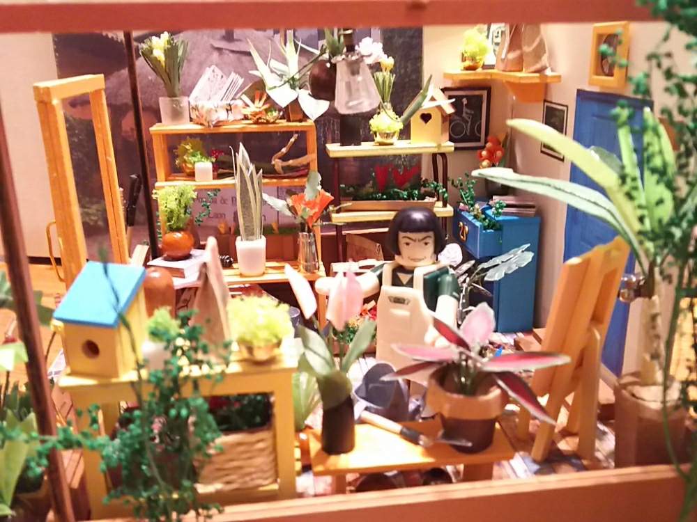 部屋の画像 by アコウテさん | 部屋とミニチュアハウスと植欲旺盛と植中毒と相棒と多肉初心者