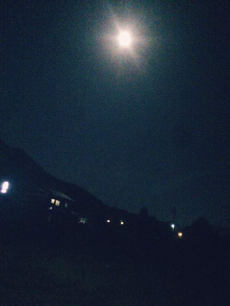 玄関の画像 by ほっぺさん | 玄関と満月の夜と❀.*・゚秋ね~❁*。と田んぼの向こうに