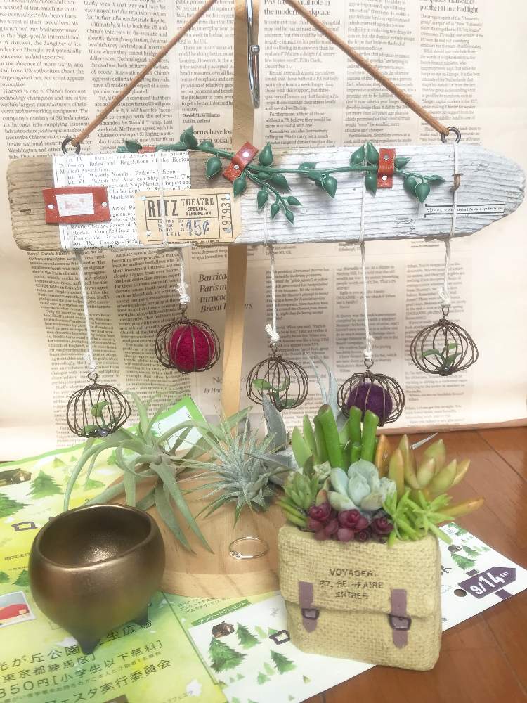 部屋の画像 by けろやさん | 部屋と寄り添ってとメリーベル追っかけ隊とGSミニモニ。と台風21号被災者応援と多肉すきと常葉植物園と多肉好きとモリモリガーデンとメリーベルショップと頑張れ♡えっこと東京ロハス
