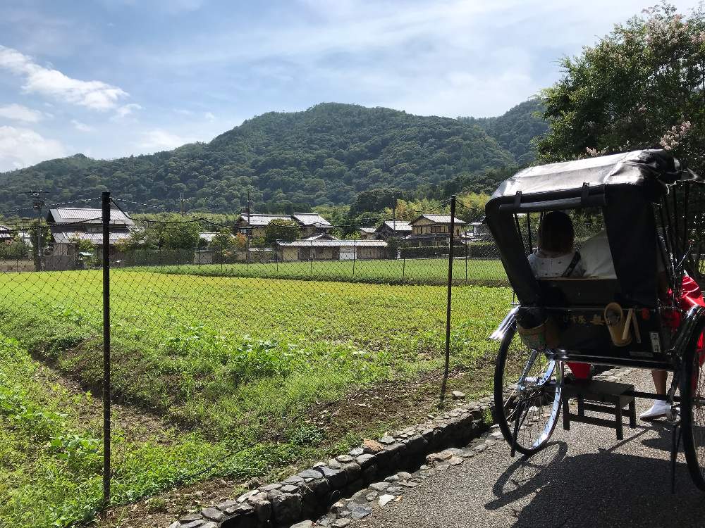 お出かけ先の画像 by おがぺさん | お出かけ先と平安貴族と植物男子とひとり旅とGS映えと車夫さんと男子旅と松尾芭蕉と嵯峨日記と嵐山と千葉県人会