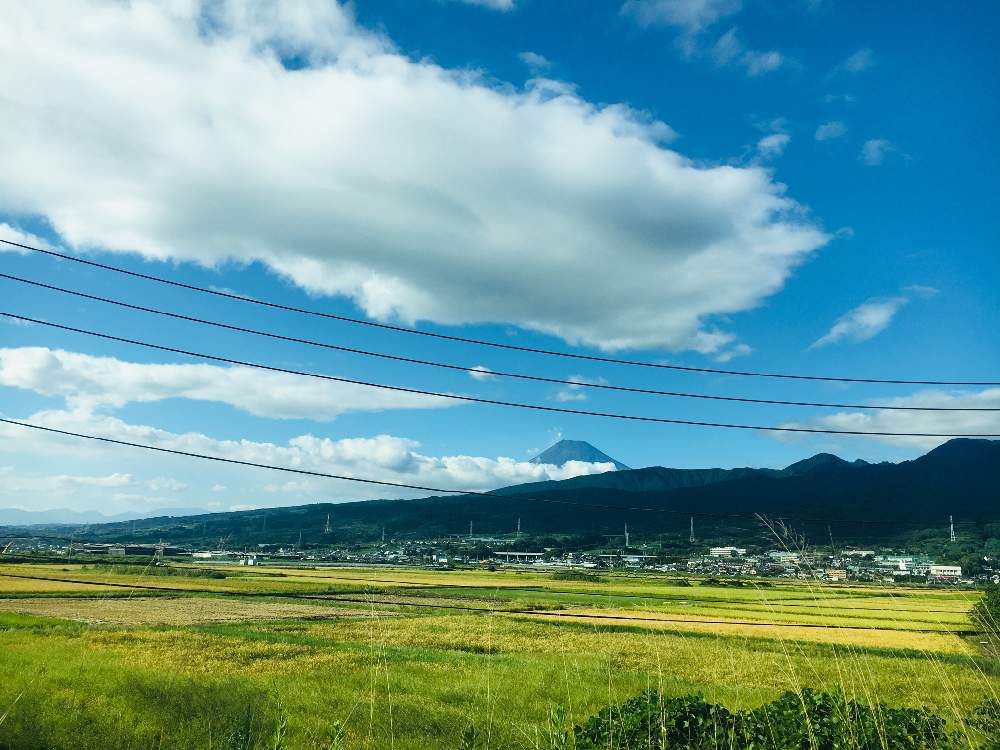 お出かけ先の画像 by あんずさん | お出かけ先といねと田んぼと富士山と景色とGS映えとしぞーか勢とGS日和とバラと夢CLUBとくもと青空と今日の富士山