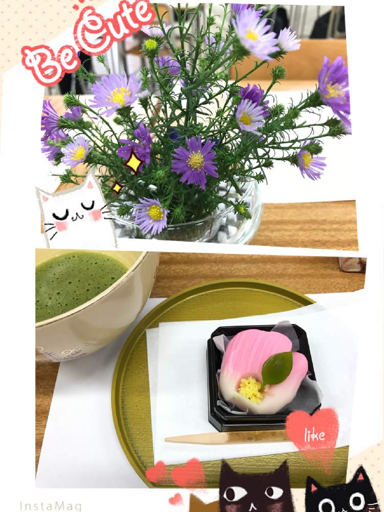 お出かけ先の画像 by Half moon さん | お出かけ先とちいさな幸せ♡と癒されると癒され風景と可愛いと花のある暮らしと癒しのひと時