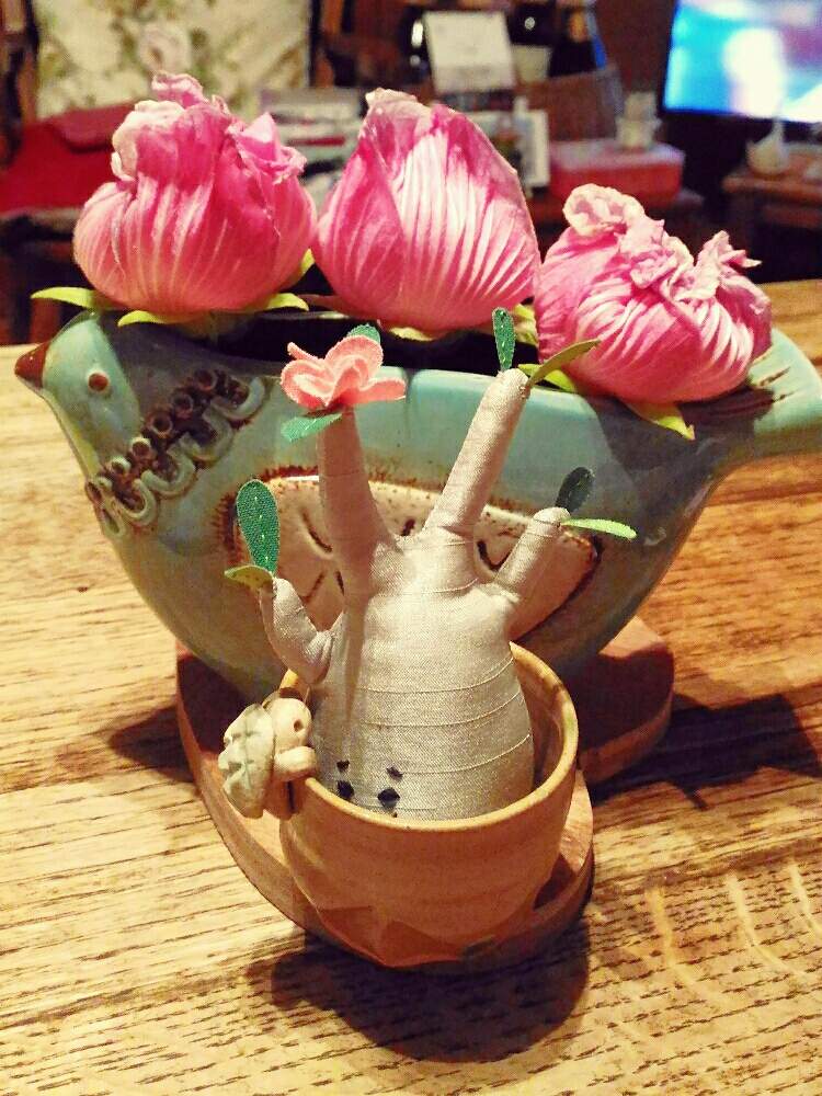 部屋の画像 by poporopoooさん | 部屋と酔塊根まんと多肉植物とアデニウム属とパキポディウム属とサボテン科と観葉植物と植物のある暮らしとボタニカルライフと塊根植物のある暮らしと塊根と陶器と塊根女子と緑のある暮らしと多肉女子と多肉植物とサボテンと塊根植物と多肉とフィギュアと酔芙蓉☆と花のある暮らしとサボテンの花とインテリアグリーン