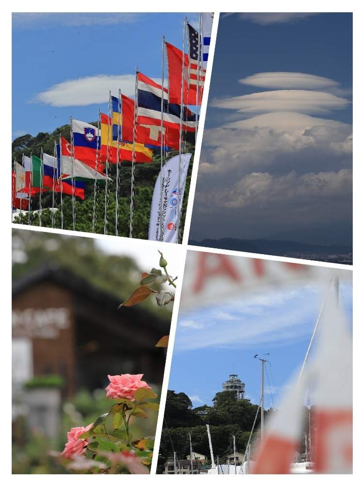お出かけ先の画像 by takosyaさん | お出かけ先と薔薇と空が好きとファインダー越しの私の世界とcanonと江の島と江ノ島サムエルコッキング苑と藤沢と海が好きとI♡Kanagawaと一眼レフとEF100mmf=2.8マクロとピンク色の花と雲が好きと神奈川の風景と江の島シーキャンドルとカメラ好き☆とI♡Fujisawa