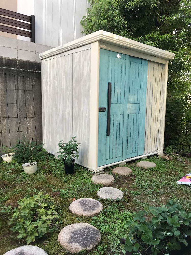 小さな庭の画像 by ササっとさんさん | 小さな庭とこの壁、気になる、、と小屋になったタクボ物置きと庭の大工事画策中!と他を小屋に寄せていくとイングリッシュガーデンに憧れてと違和感マシマシと楽しい妄想タイムと花のある暮らし