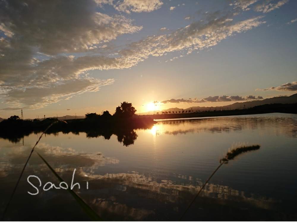 の画像 by sachiさん | エノコログサと残したい風景と夕日と水のある風景と堤防沿いと雑草と今日の花便りとさんぽみちと花のある暮らし