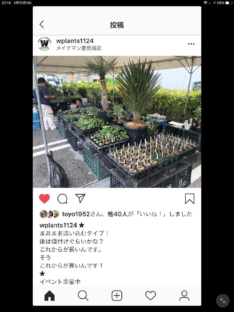 お出かけ先の画像 by nowさん | お出かけ先とフラワーショップとお気に入りのガーデンショップとガーデニングショップと沖縄とGS映えとグリーンショップと植中毒とショップとガーデンショップとボタニカルショップと多肉ショップ